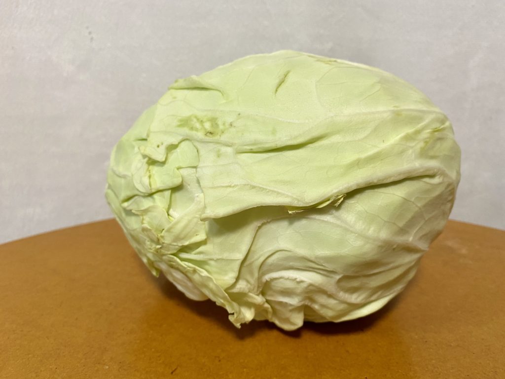 らでぃっしゅぼーや　キャベツ